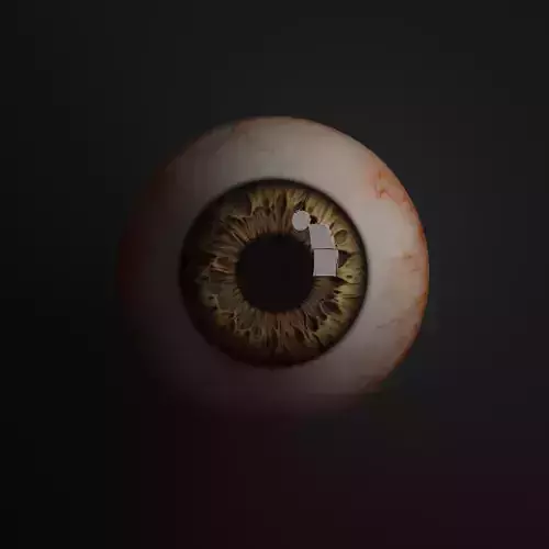 Realistic 3d eye