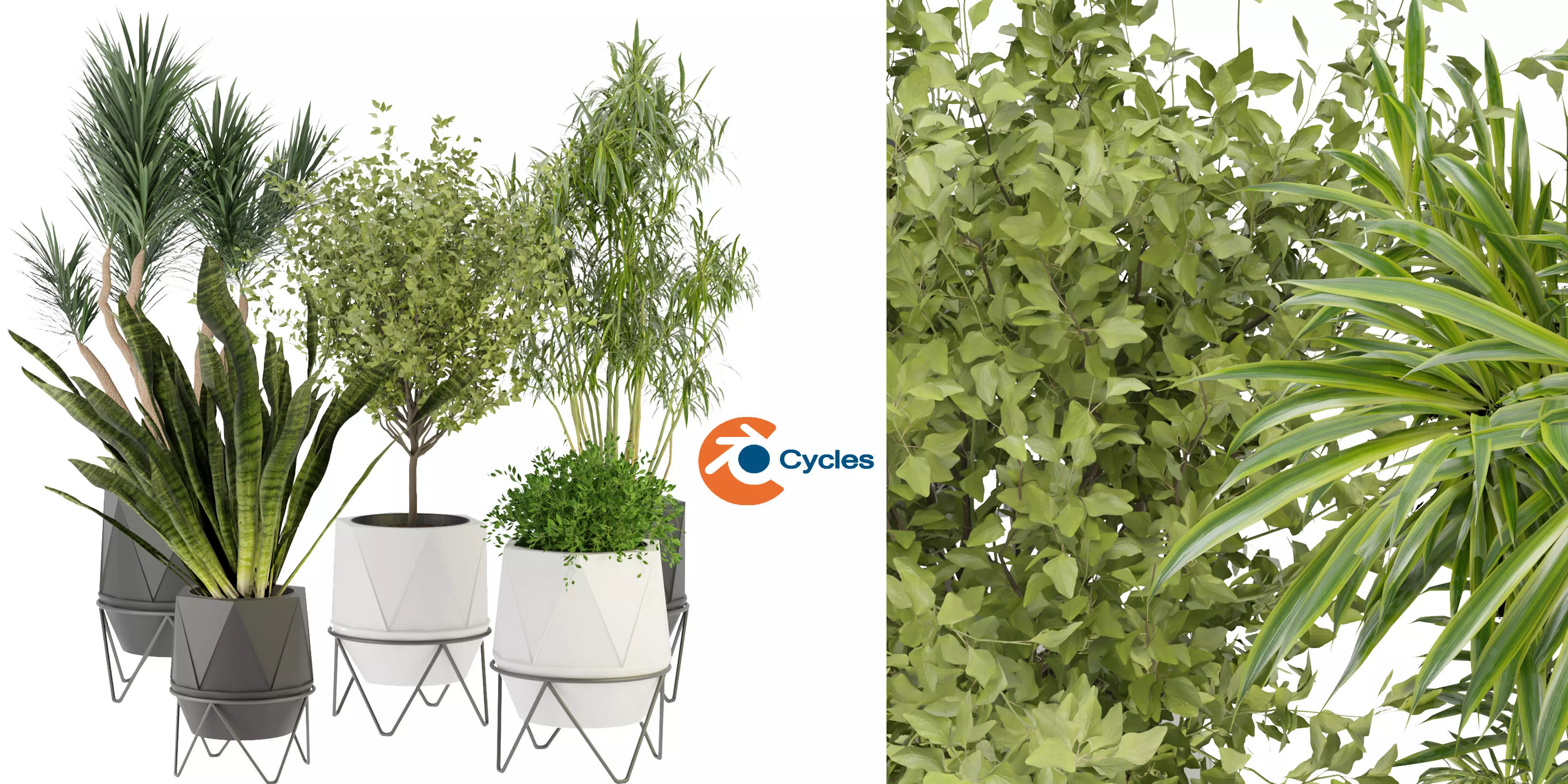 Collection plant vol 229 - blender model  3D model_0