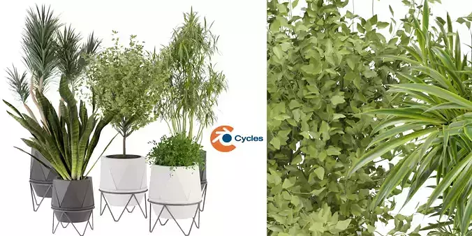 Collection plant vol 229 - blender model  3D model