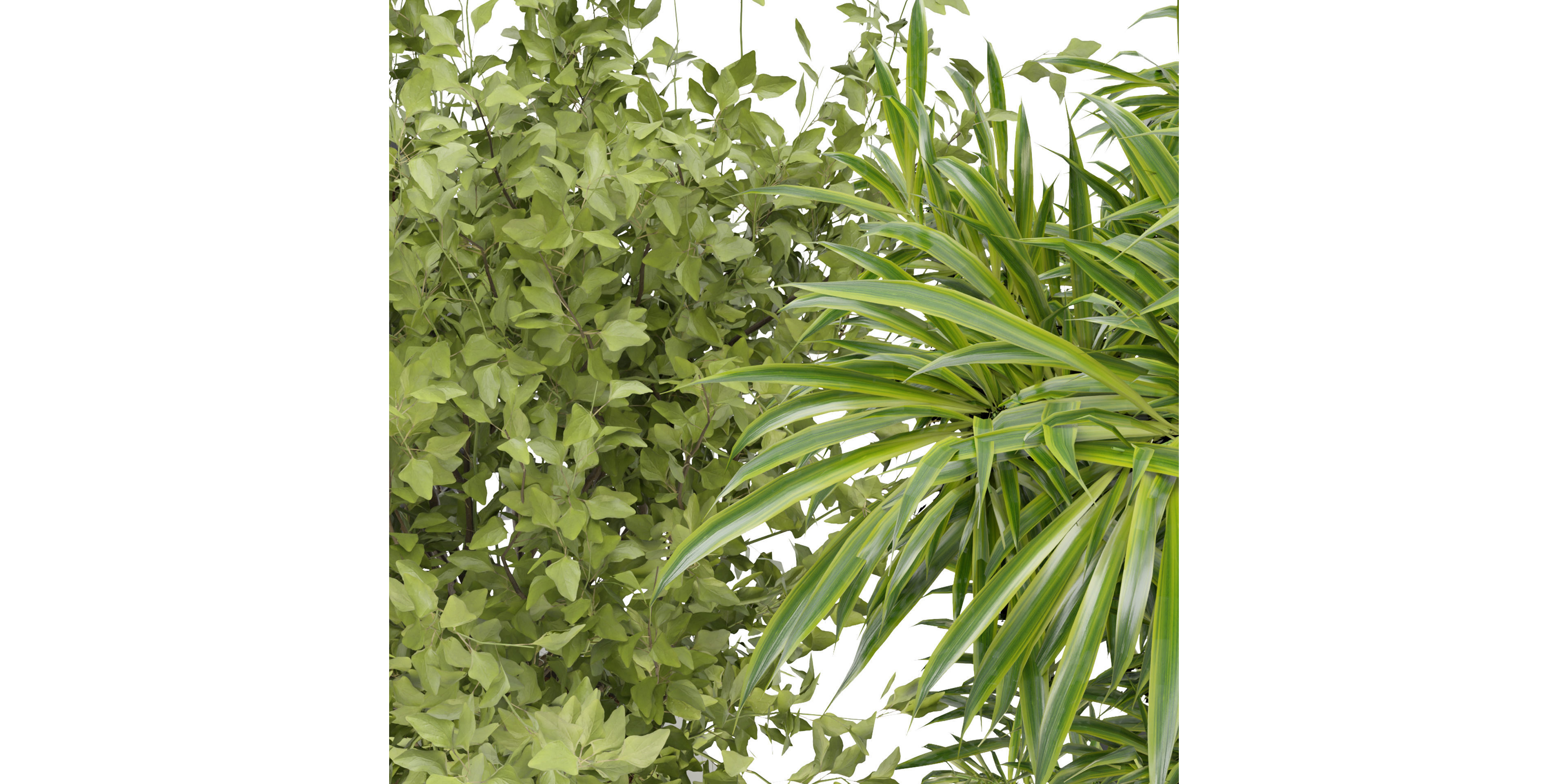 Collection plant vol 229 - blender model  3D model_4