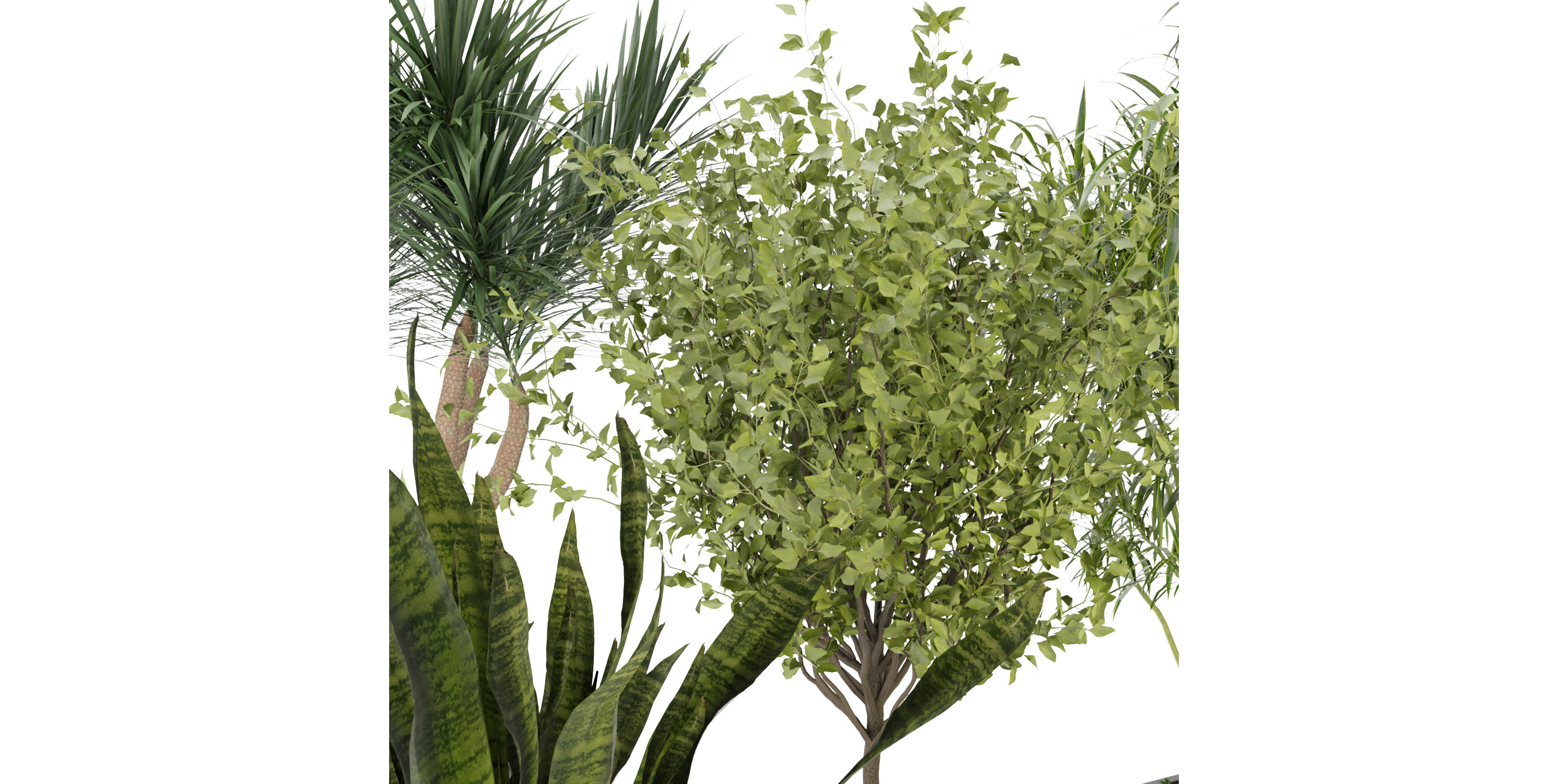 Collection plant vol 229 - blender model  3D model_3