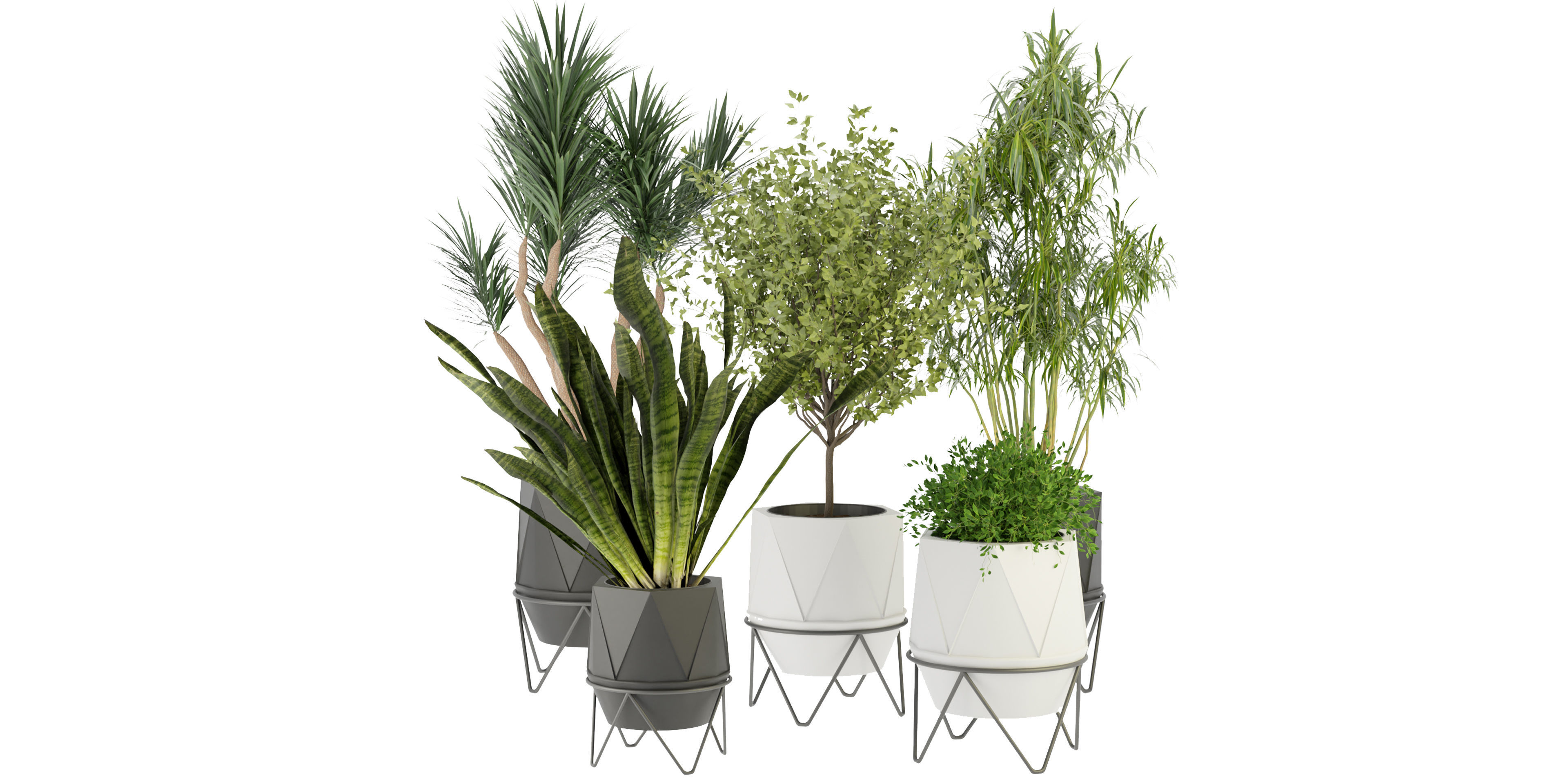 Collection plant vol 229 - blender model  3D model_1