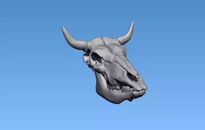 cow skull 3D print model