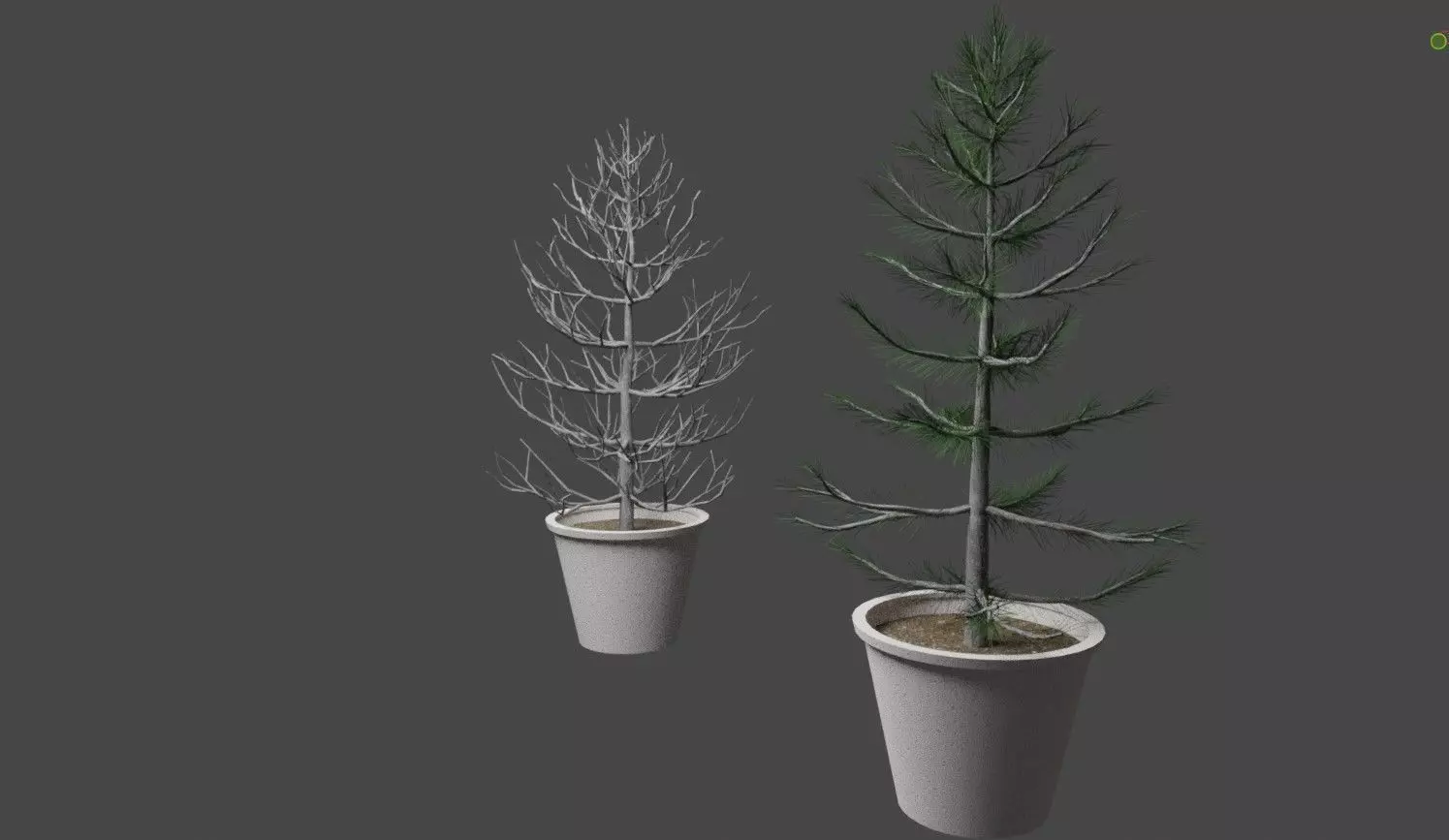 2 Trees in a Pot Free low-poly 3D model_0