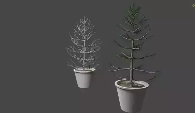 2 Trees in a Pot