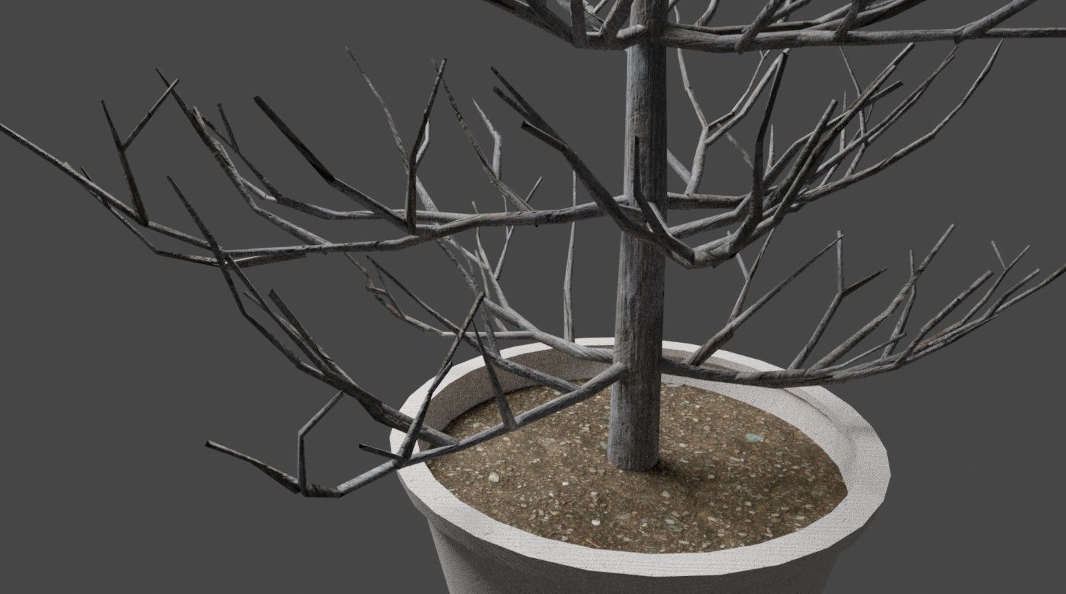 2 Trees in a Pot Free low-poly 3D model_3