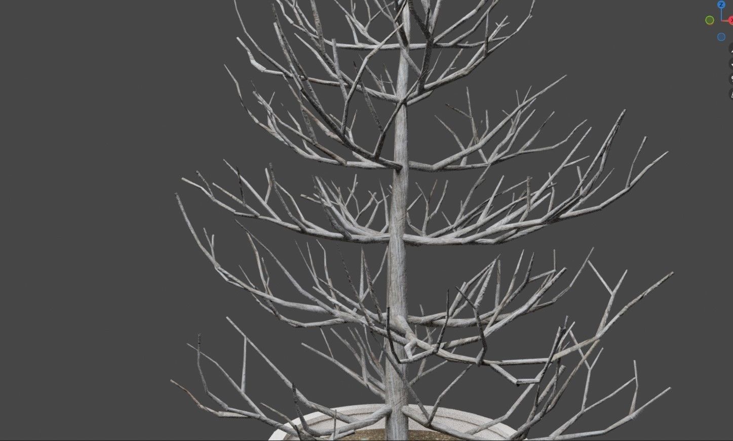 2 Trees in a Pot Free low-poly 3D model_2