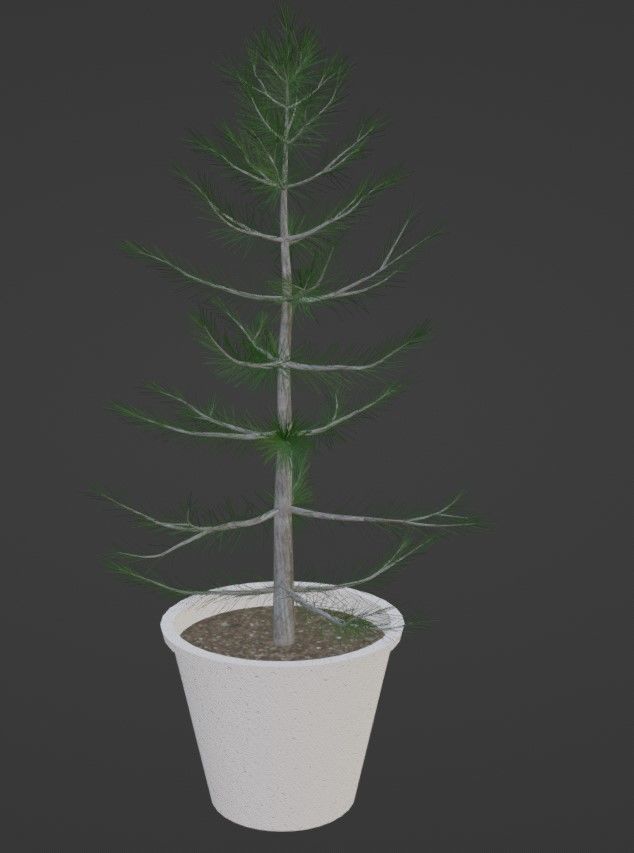 2 Trees in a Pot Free low-poly 3D model_5