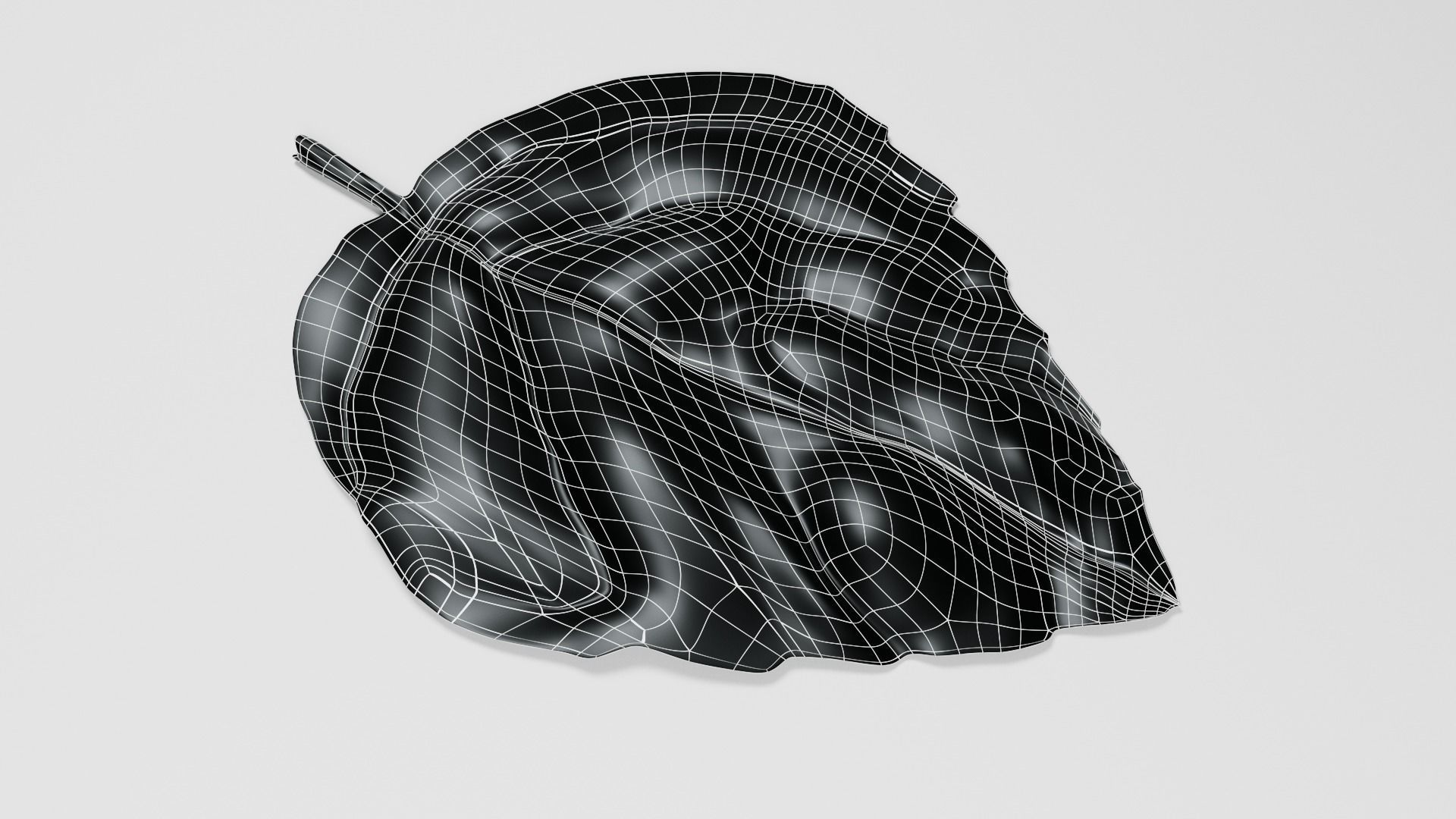 Basil Leaf 3D model_5