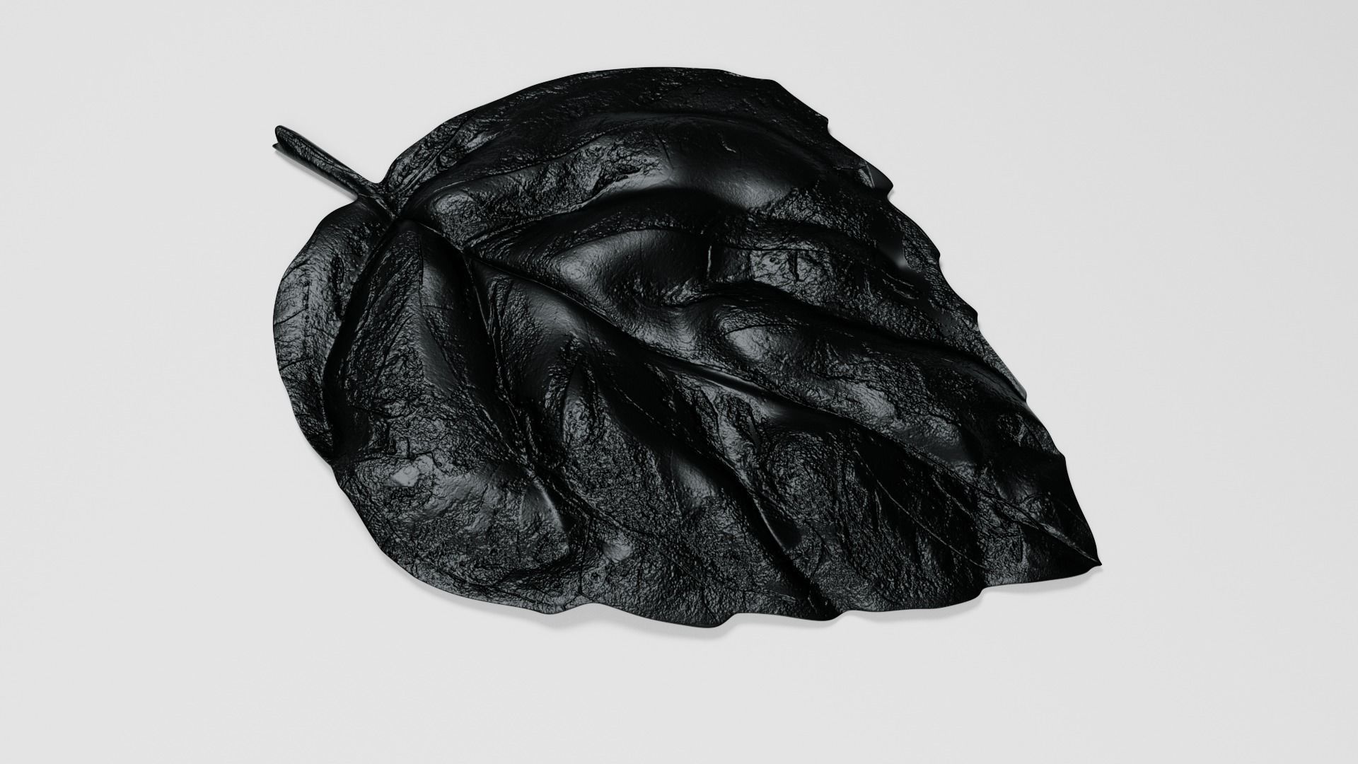 Basil Leaf 3D model_4