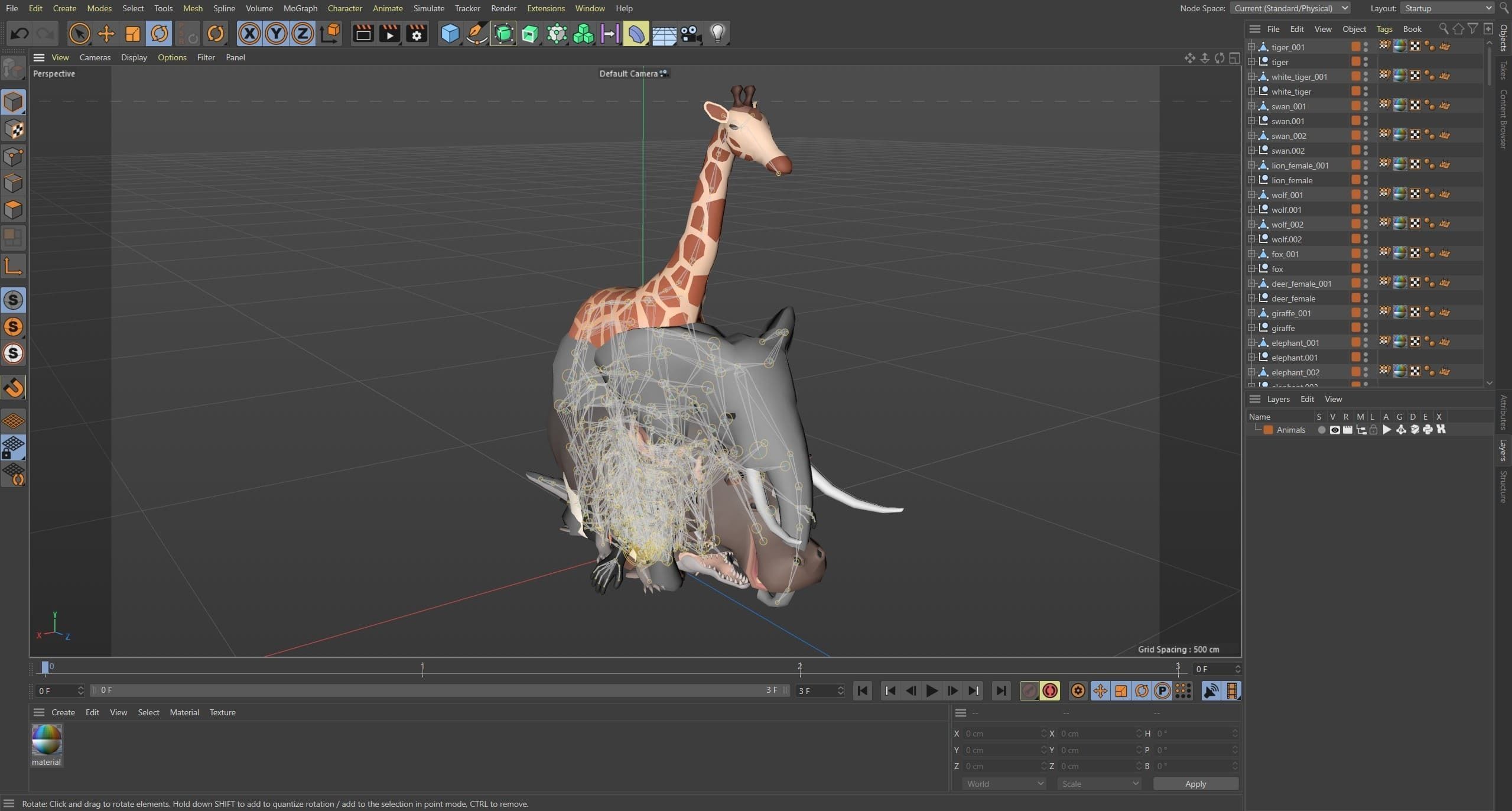 Animals Low-poly 3D model_28