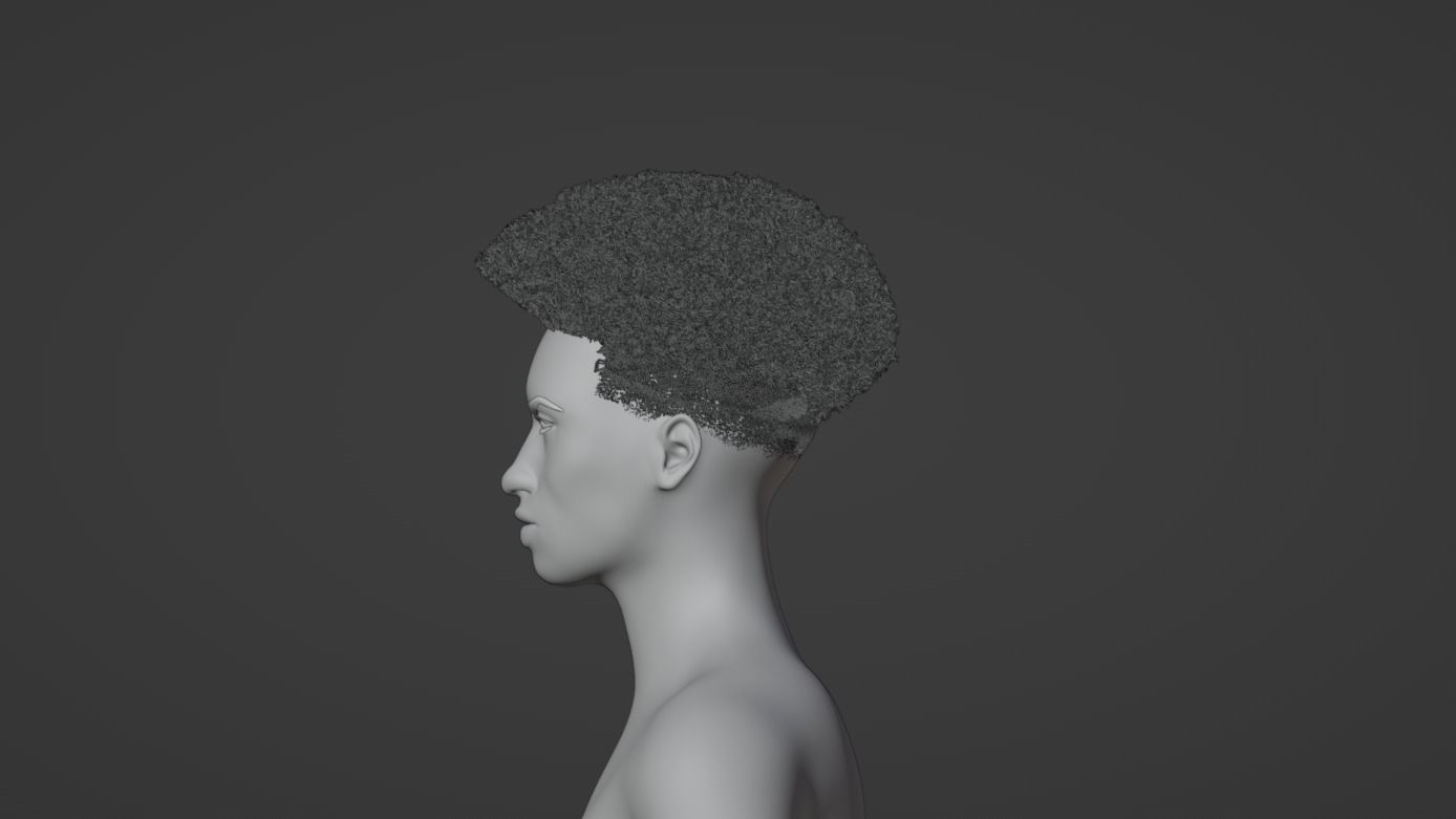 Taper Afro III 3D model_4