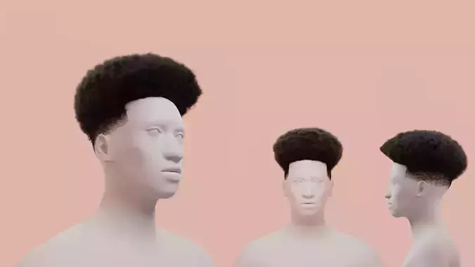 Taper Afro III 3D model