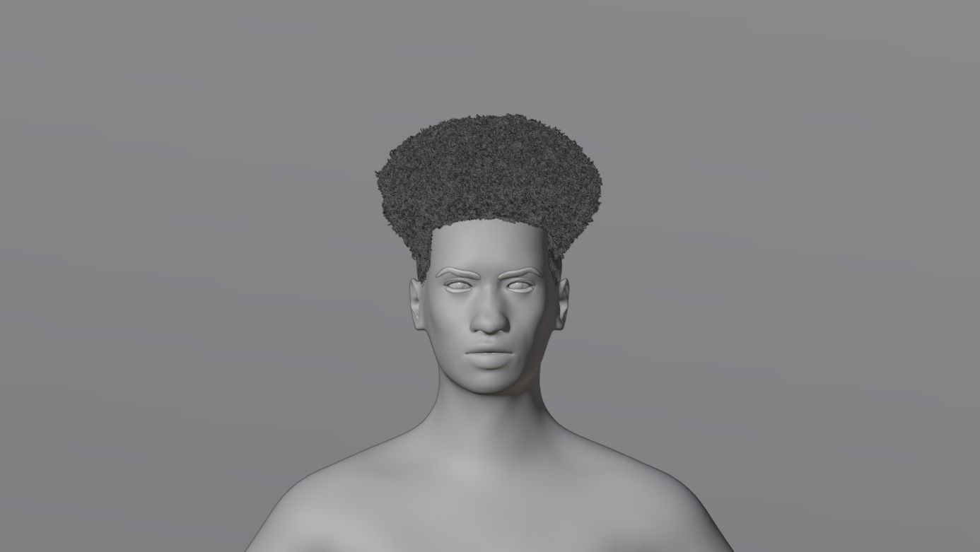 Taper Afro III 3D model_13