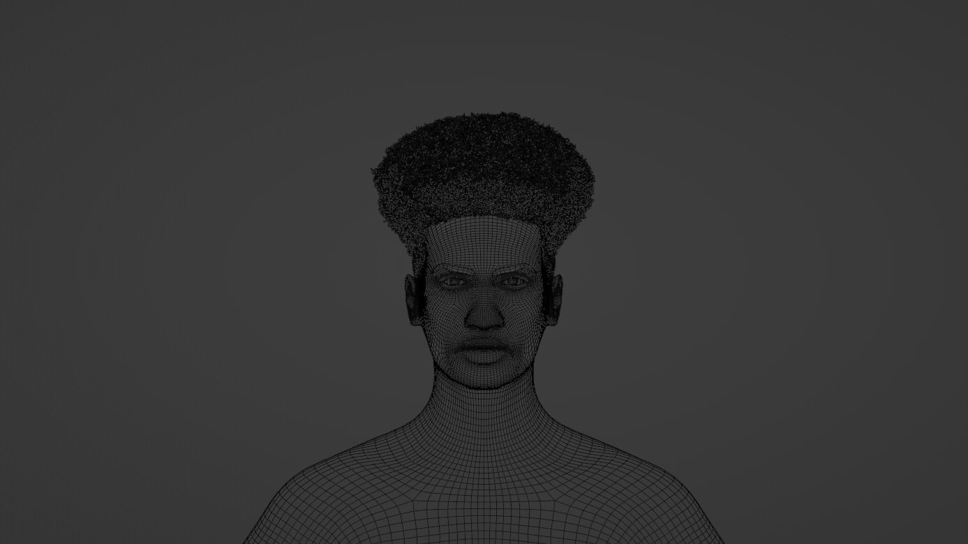 Taper Afro III 3D model_14