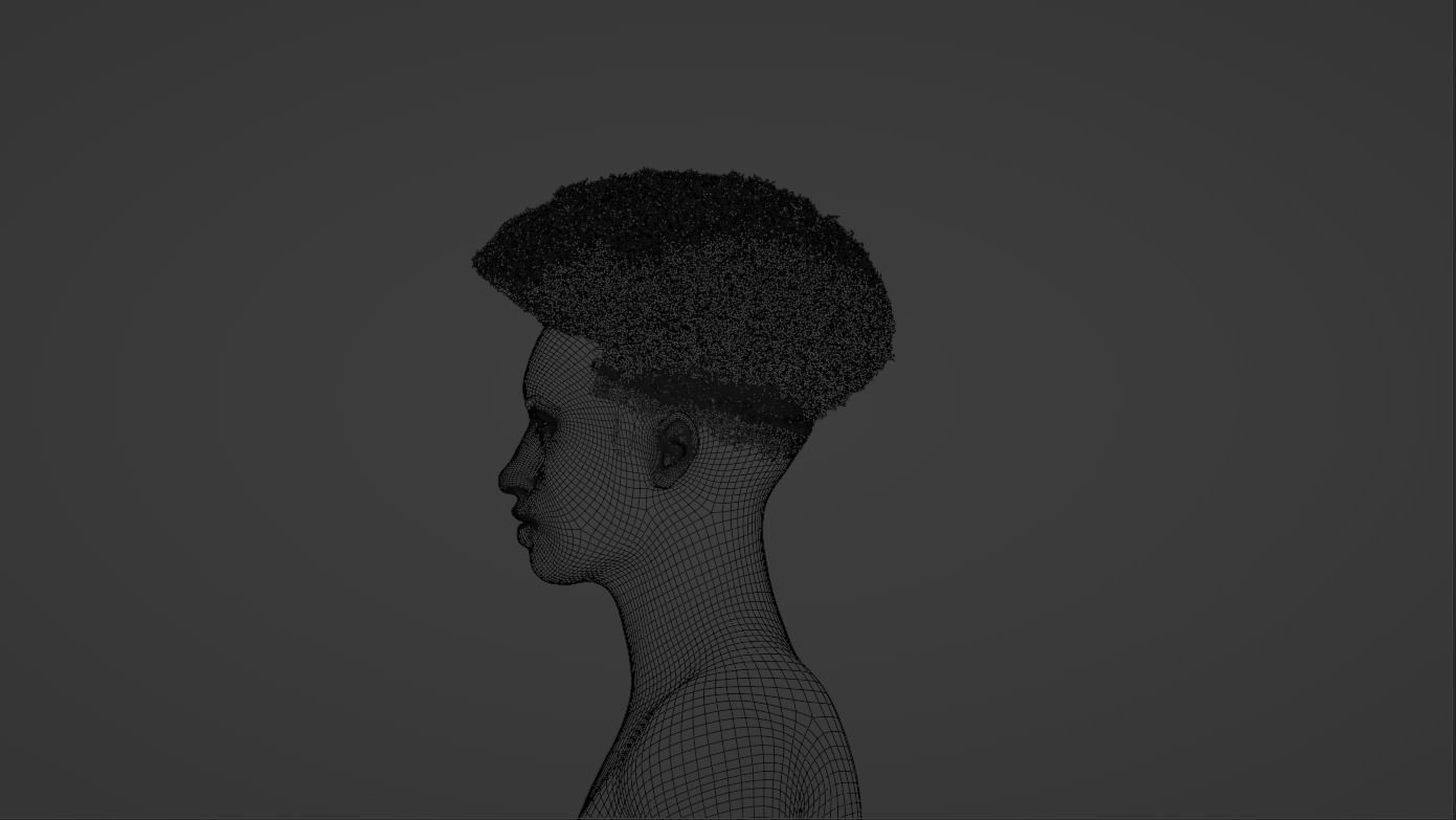 Taper Afro III 3D model_5