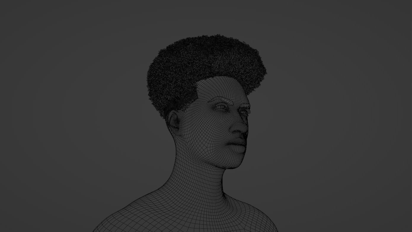 Taper Afro III 3D model_8