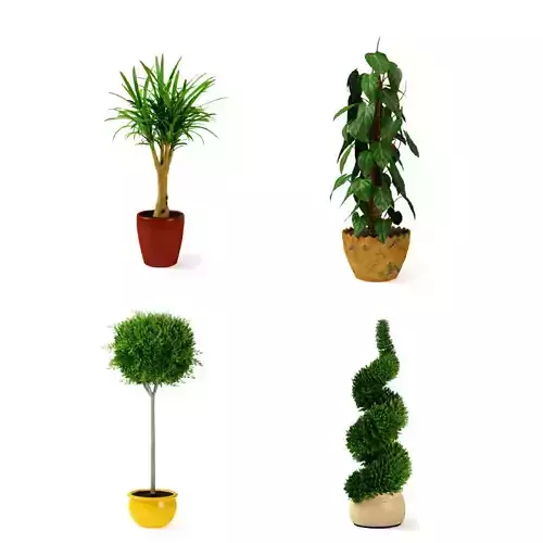3d plants items