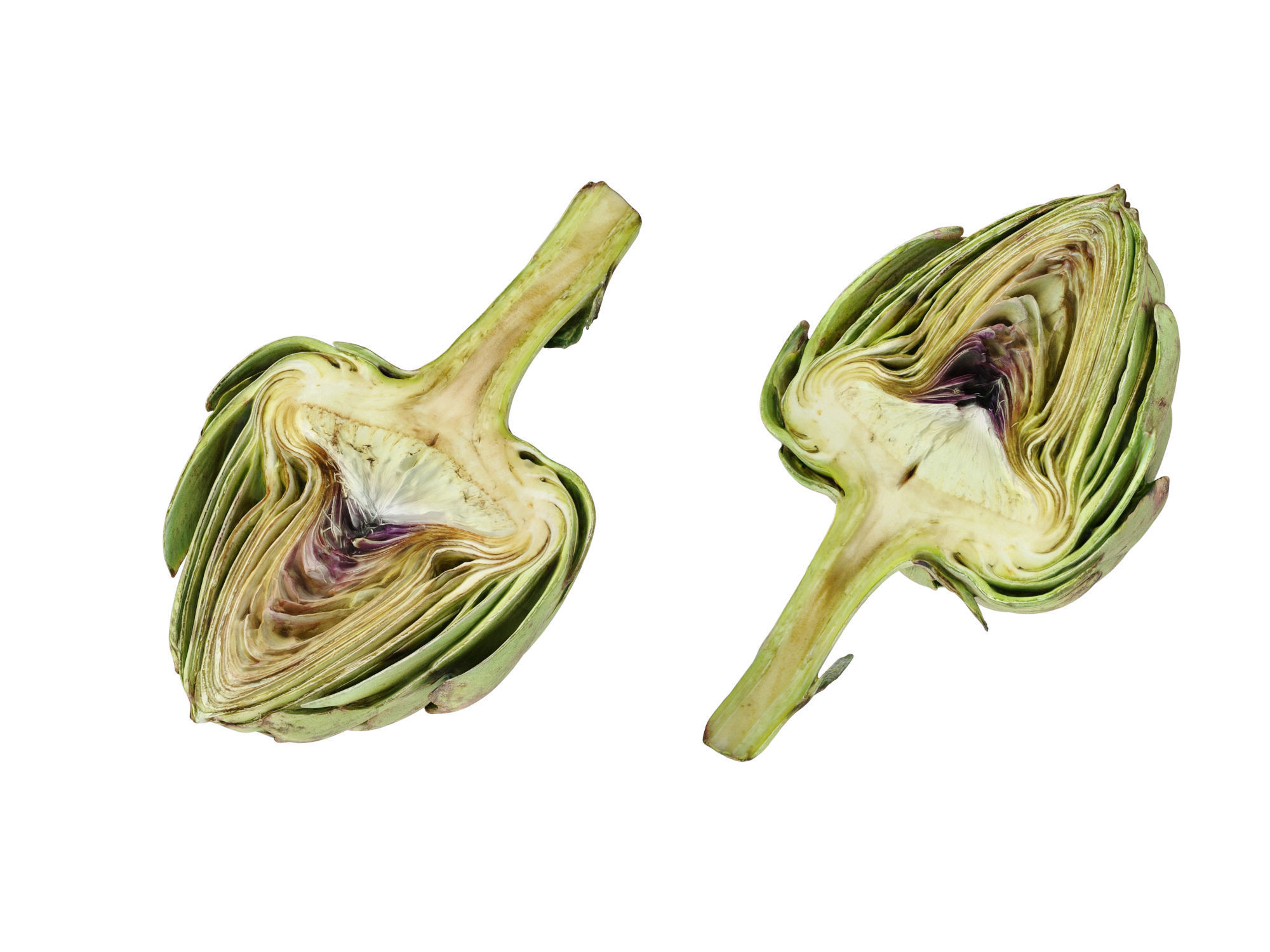 Artichoke  3D model_6
