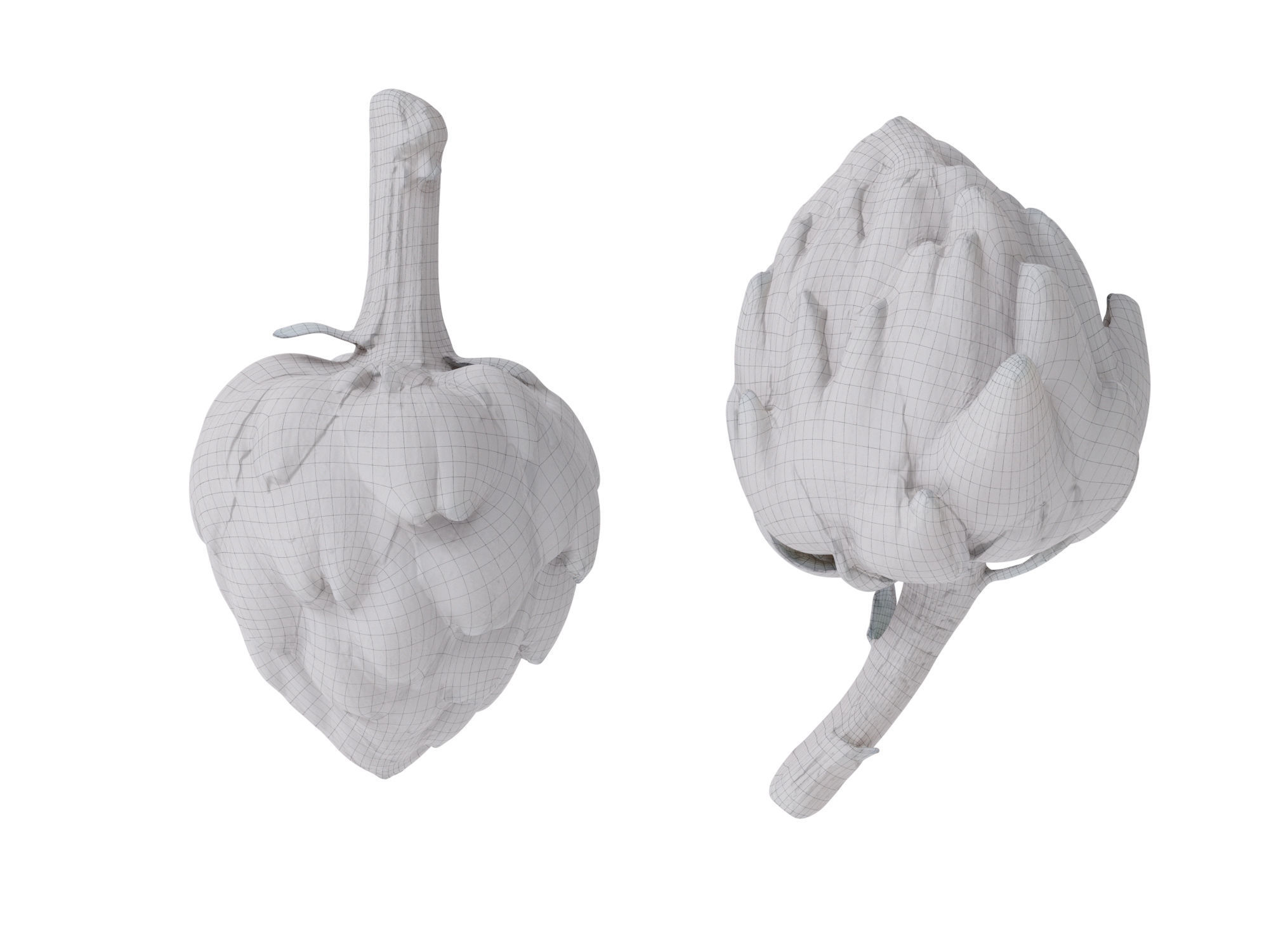 Artichoke  3D model_10