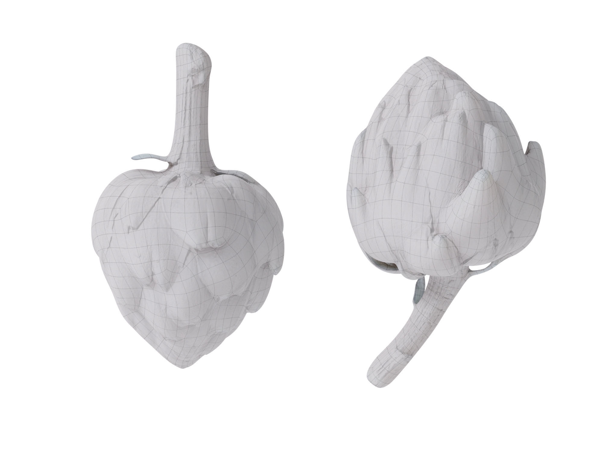 Artichoke  3D model_9