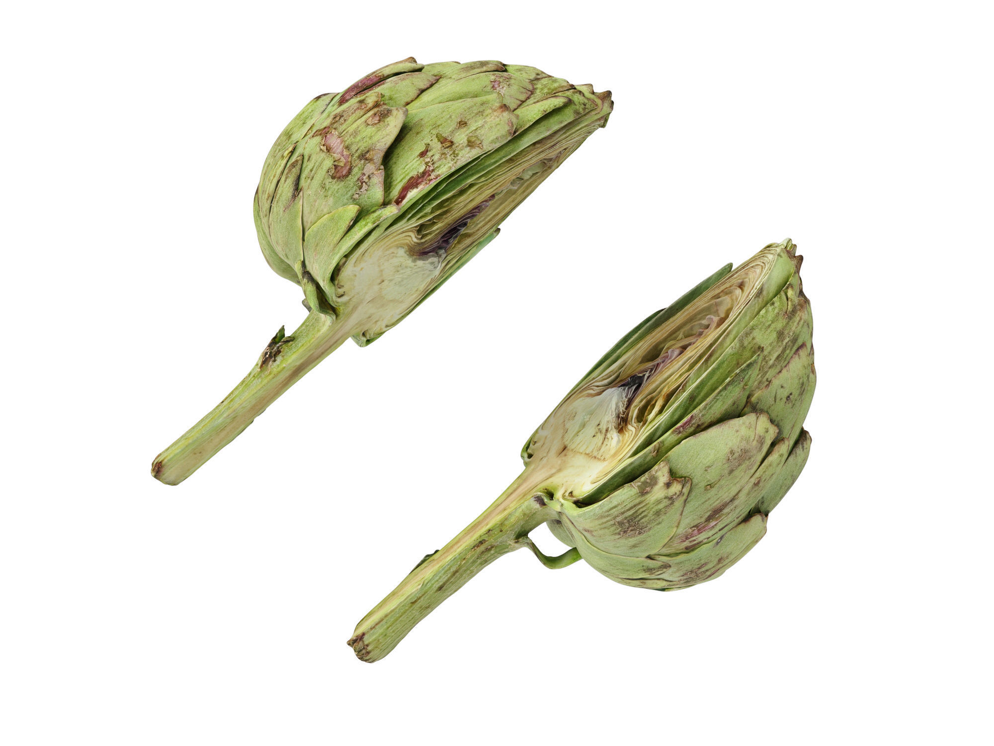 Artichoke  3D model_7