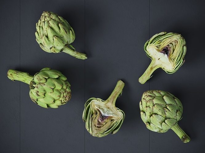 Artichoke  3D model 5