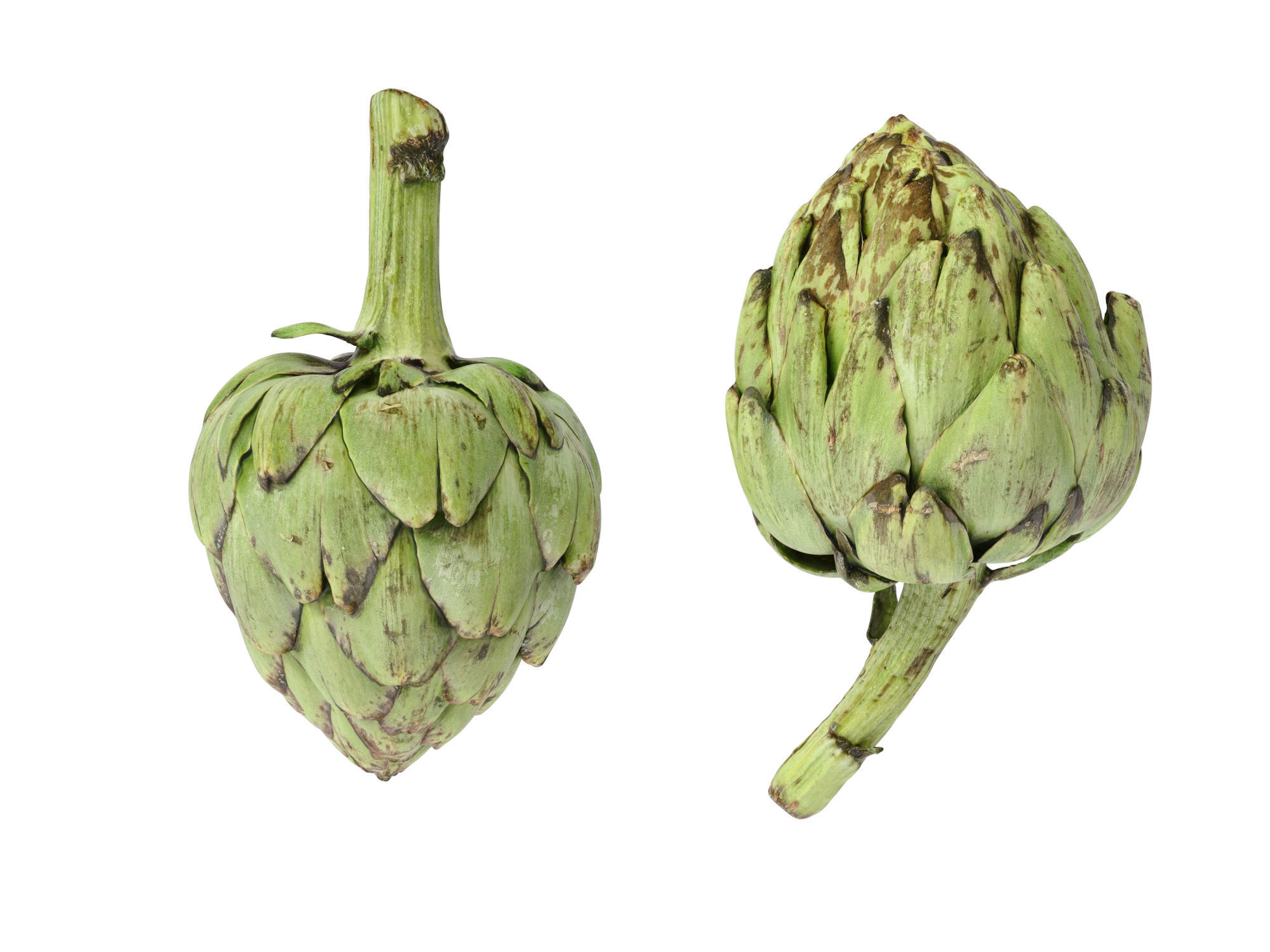 Artichoke  3D model_8