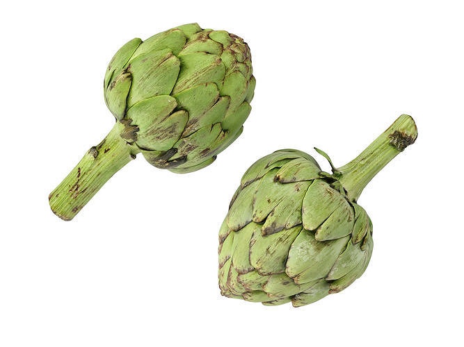 Artichoke  3D model 6
