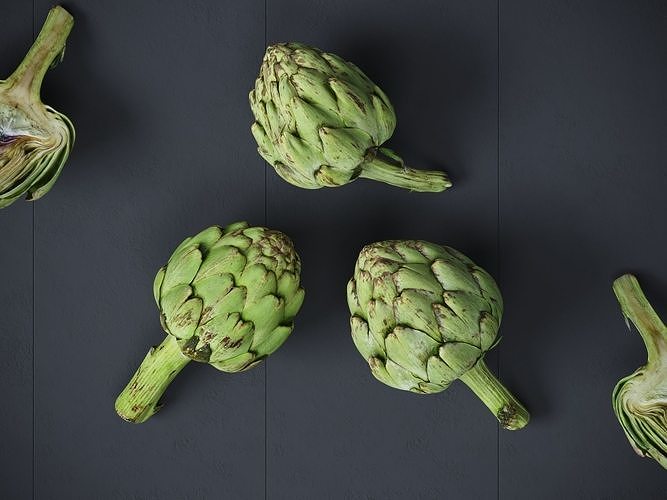 Artichoke  3D model 4