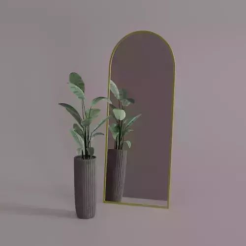 Decorative Mirror