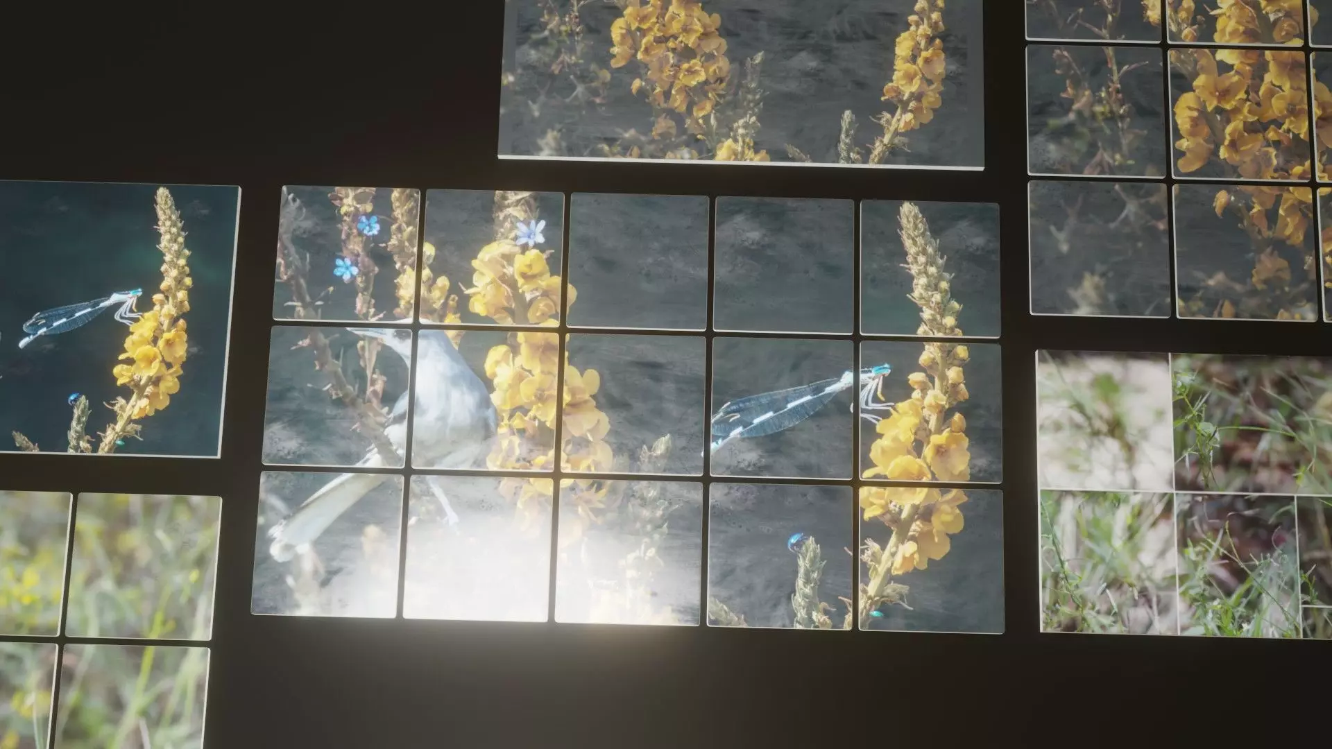 Nature Photo Tiles for modern Kitchens and Bathrooms frames Low-poly 3D model_0