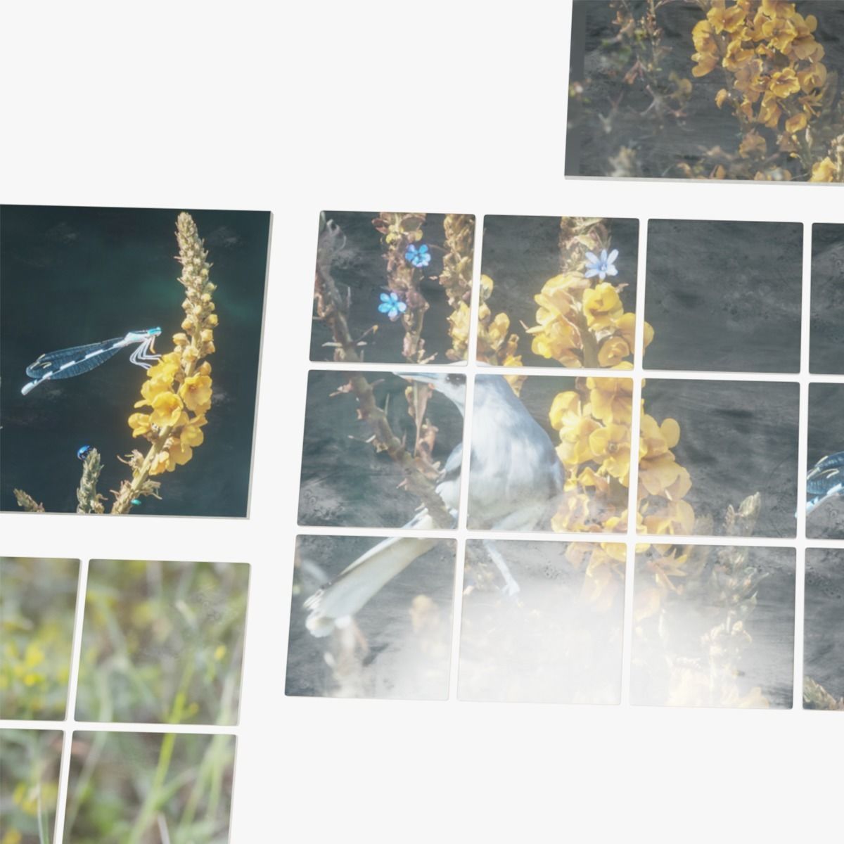 Nature Photo Tiles for modern Kitchens and Bathrooms frames Low-poly 3D model_30