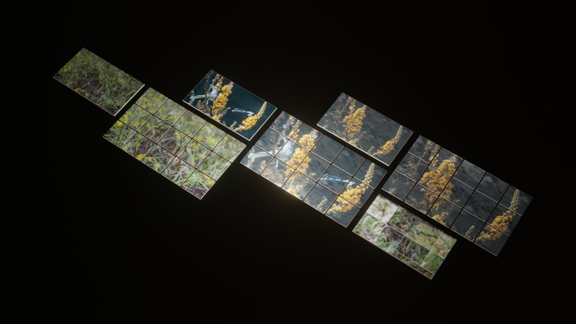 Nature Photo Tiles for modern Kitchens and Bathrooms frames Low-poly 3D model_11