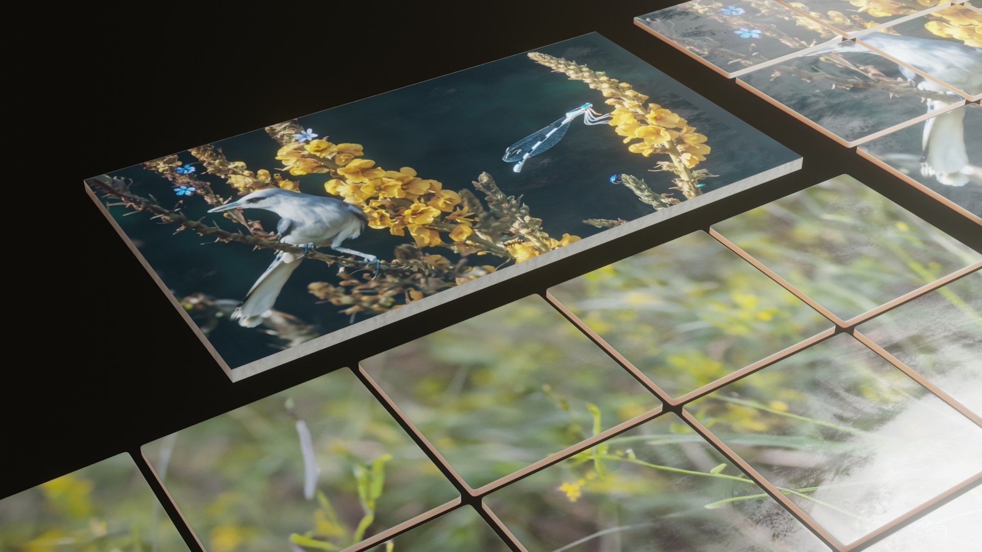 Nature Photo Tiles for modern Kitchens and Bathrooms frames Low-poly 3D model_5