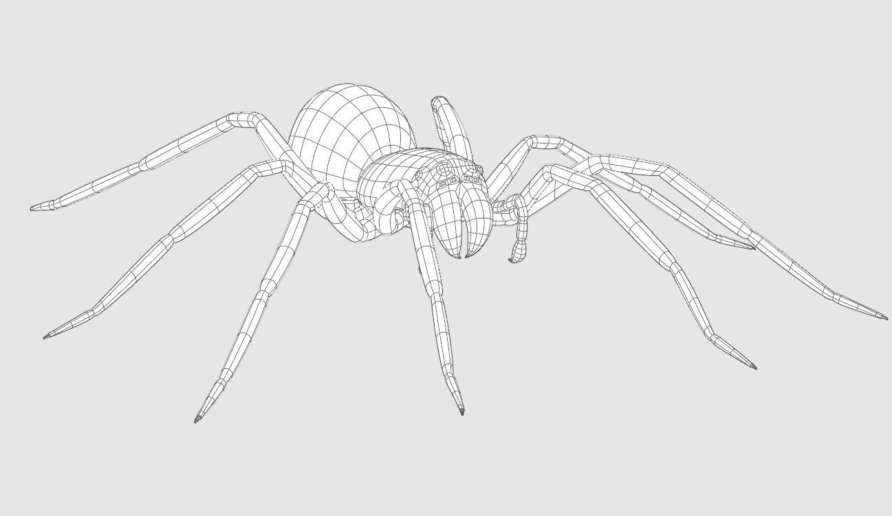Spider 4K Rigged 3D model_3