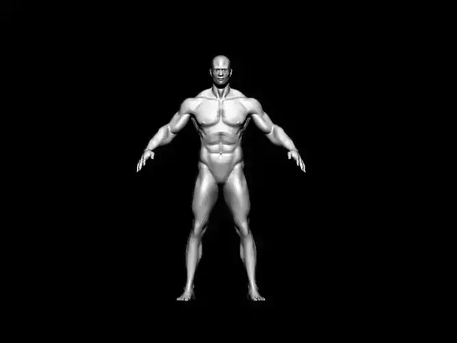 BASE MESH Low-poly 3D model
