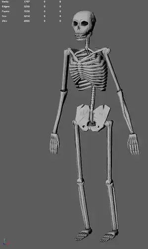Low Poly Skeleton 3D Model - Fully Rigged and Textured Low-poly 3D model