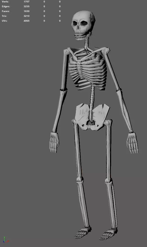 Low Poly Skeleton 3D Model - Fully Rigged and Textured Low-poly 3D model_0