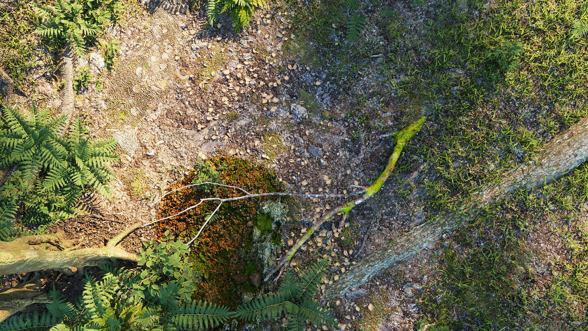 The Forest - Full Model Sketchup - V-ray Render 3D model_1