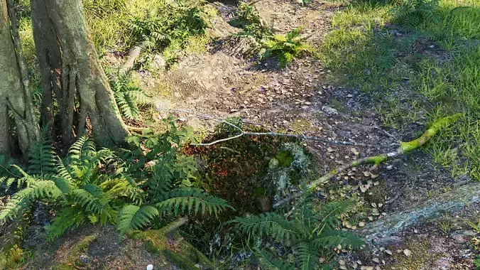 The Forest - Full Model Sketchup - V-ray Render 3D model