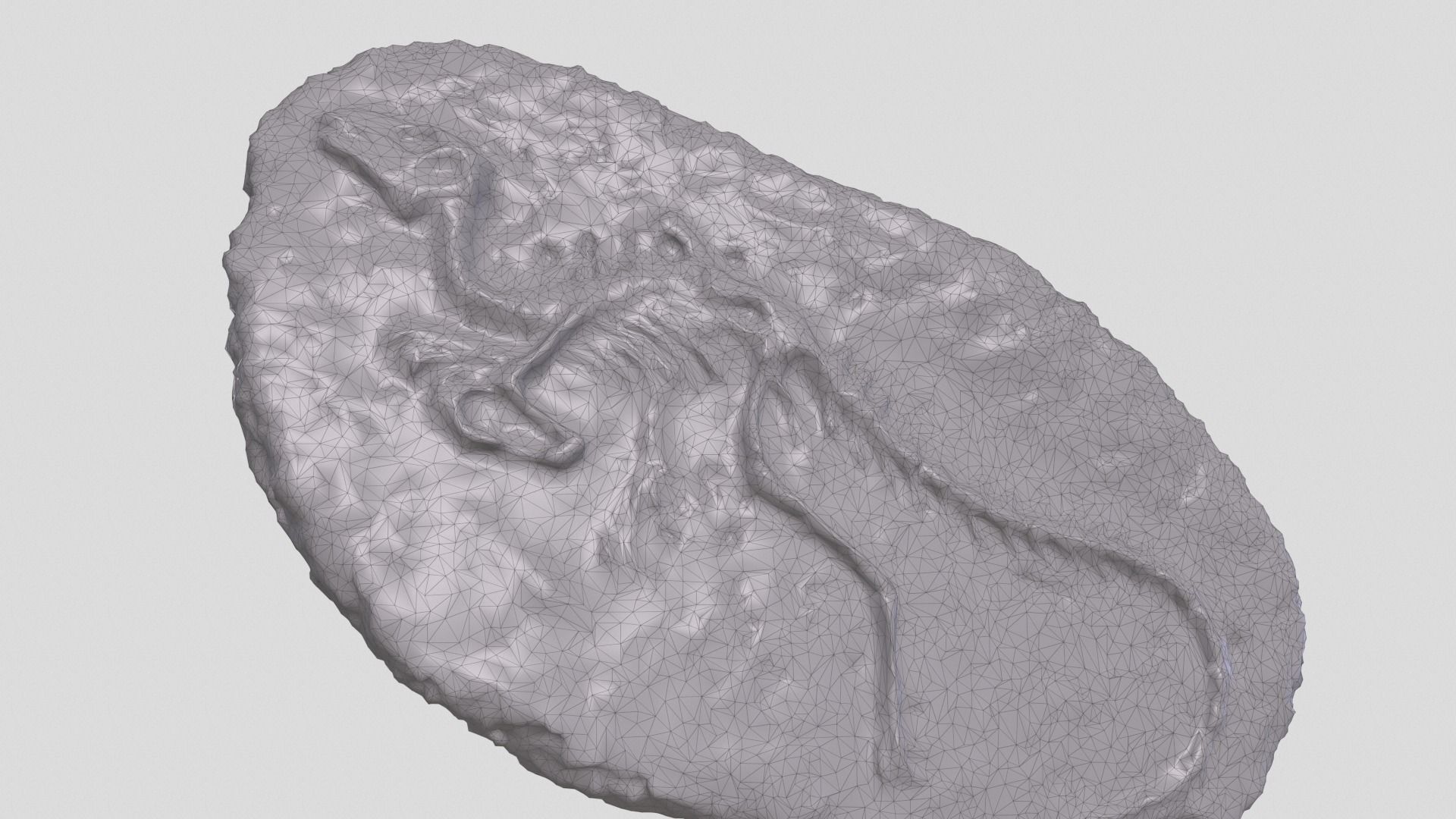 dinosaur fossil 3D model_5