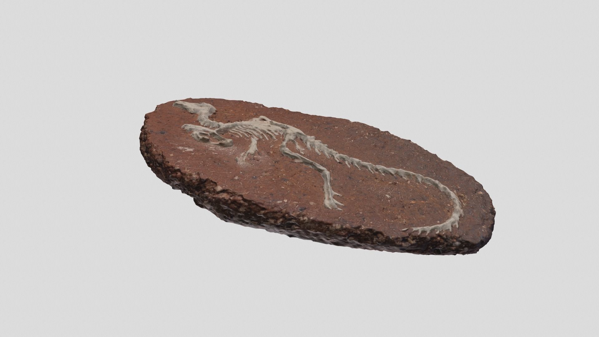 dinosaur fossil 3D model_2