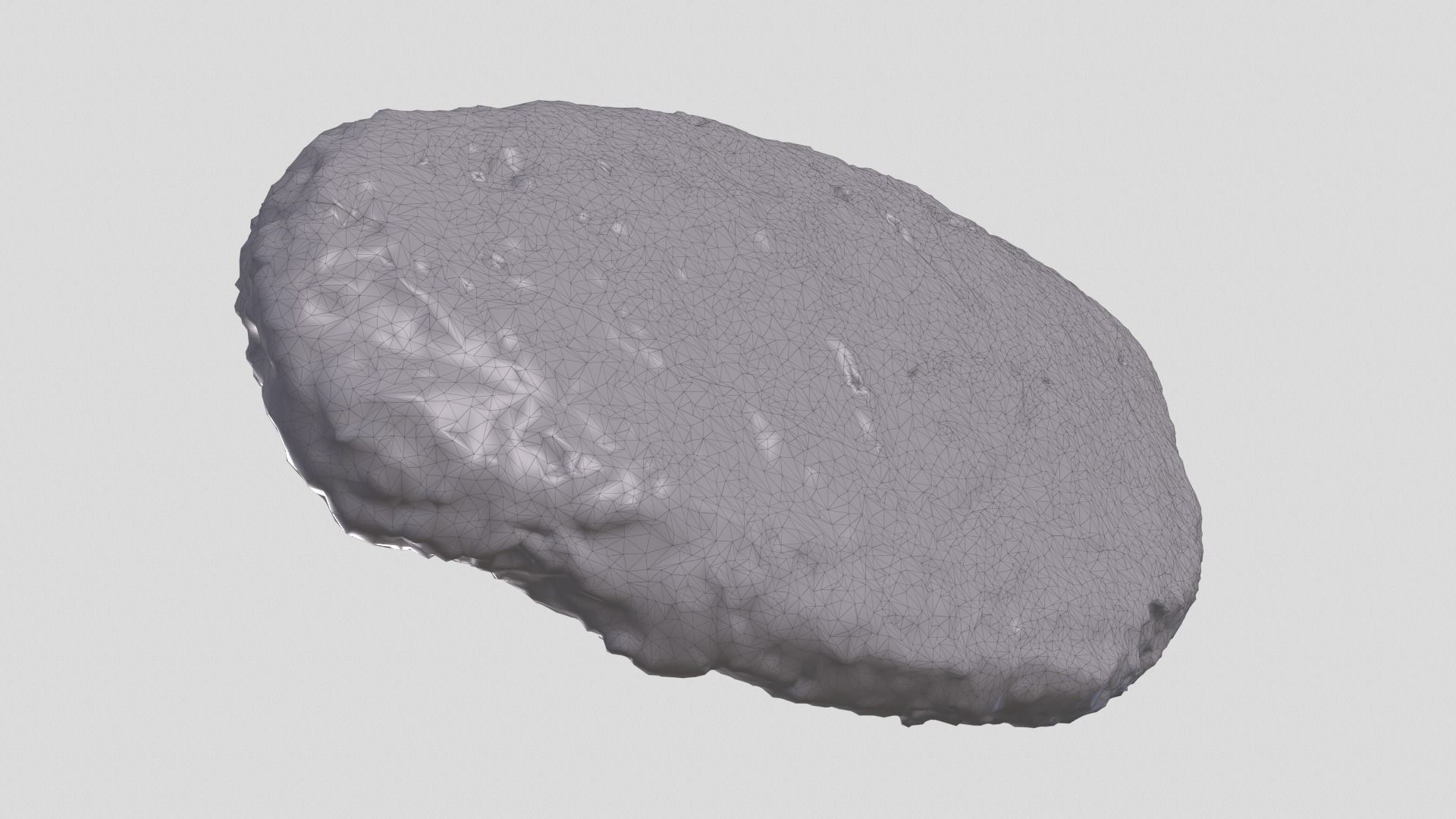 dinosaur fossil 3D model_6