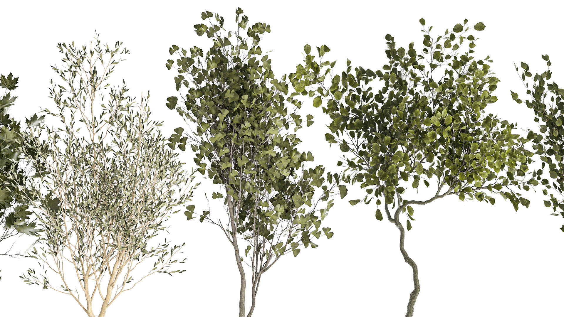 Set Of Beautiful Trees In Pots For Decoration 1331 3D model_1