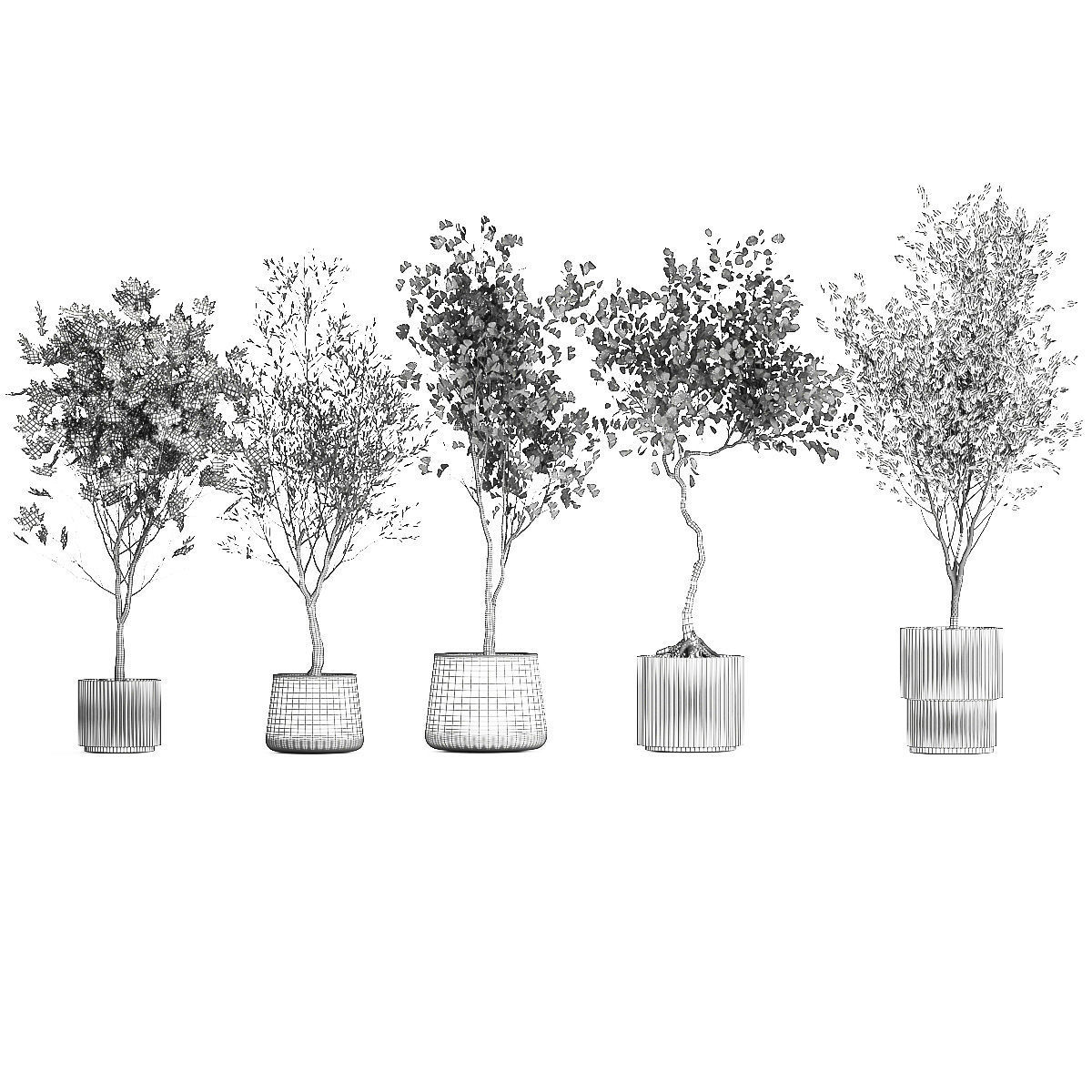 Set Of Beautiful Trees In Pots For Decoration 1331 3D model_15