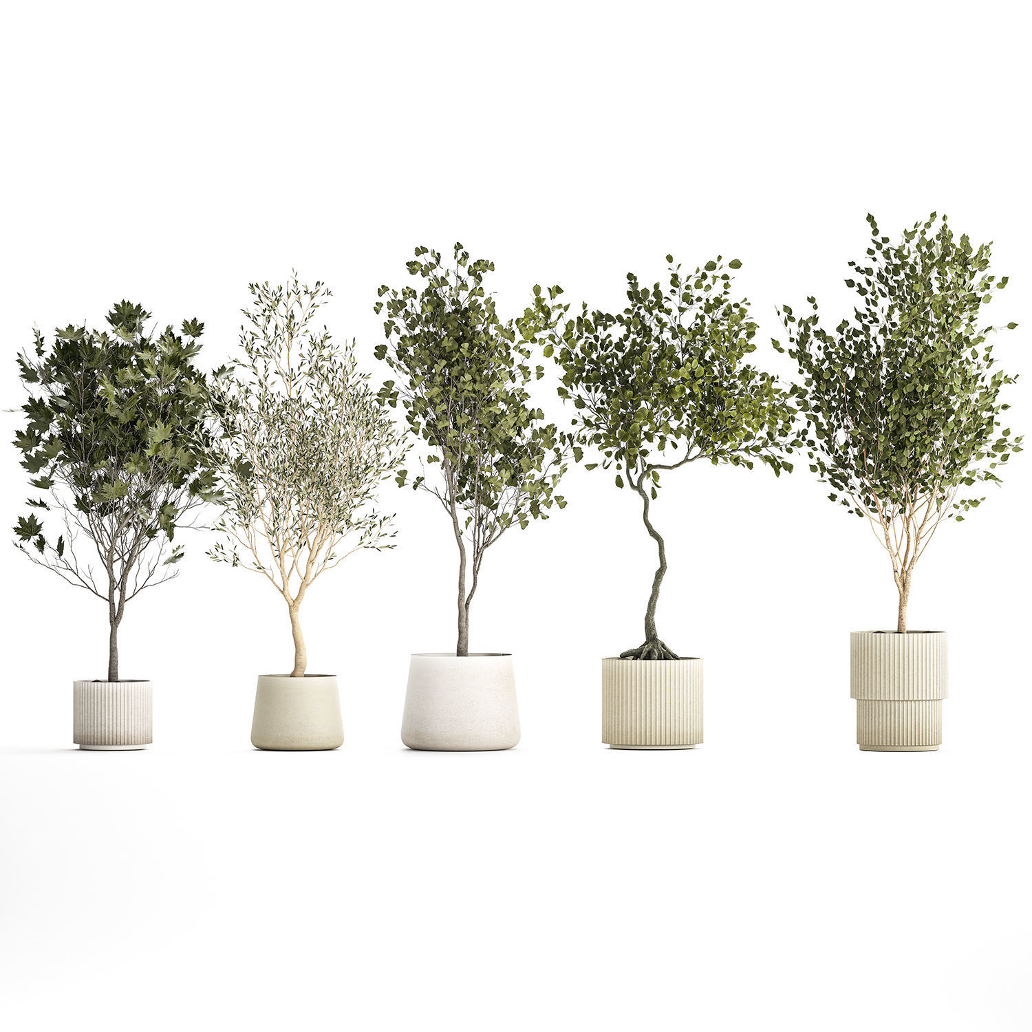 Set Of Beautiful Trees In Pots For Decoration 1331 3D model_10
