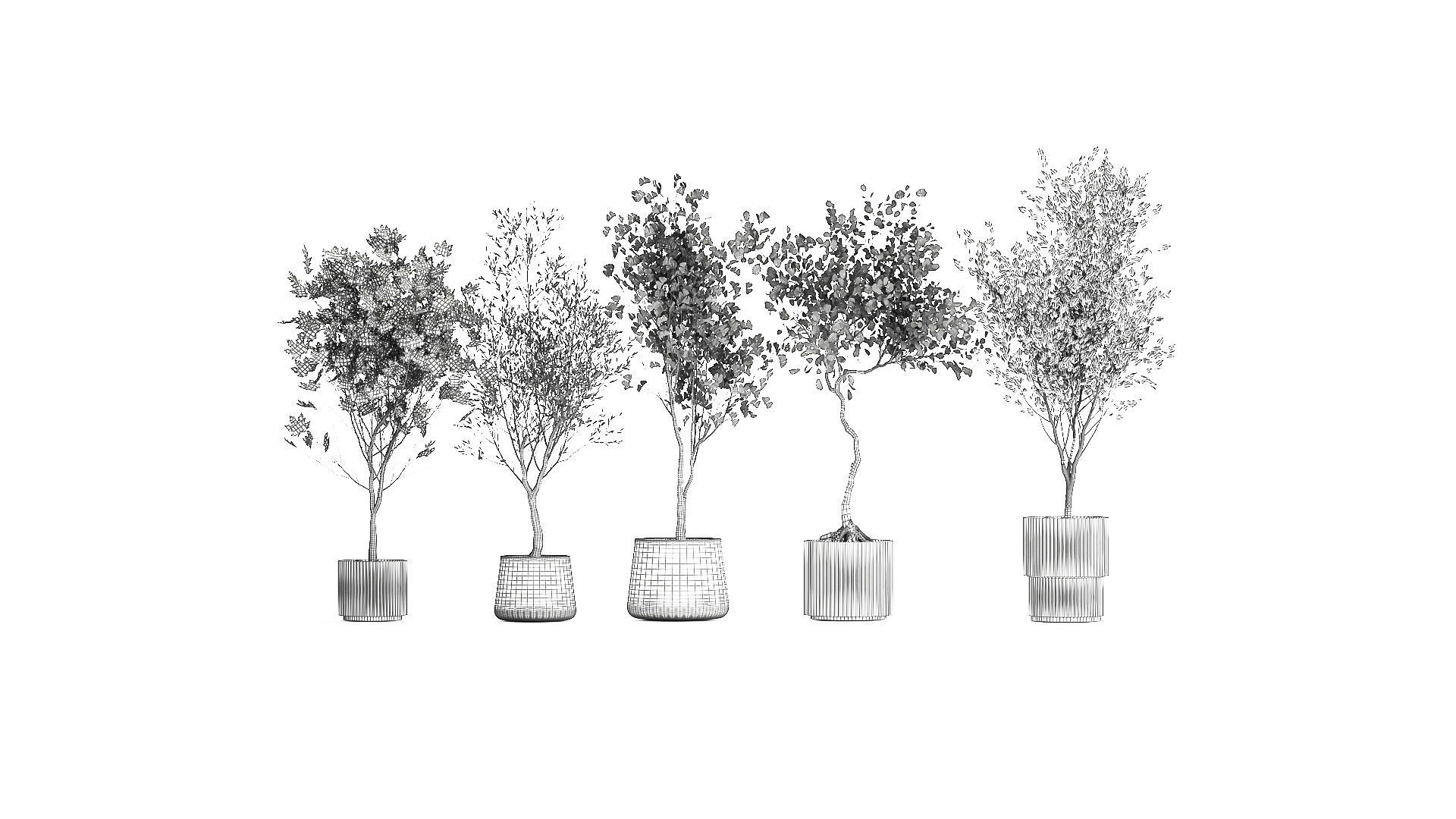 Set Of Beautiful Trees In Pots For Decoration 1331 3D model_8