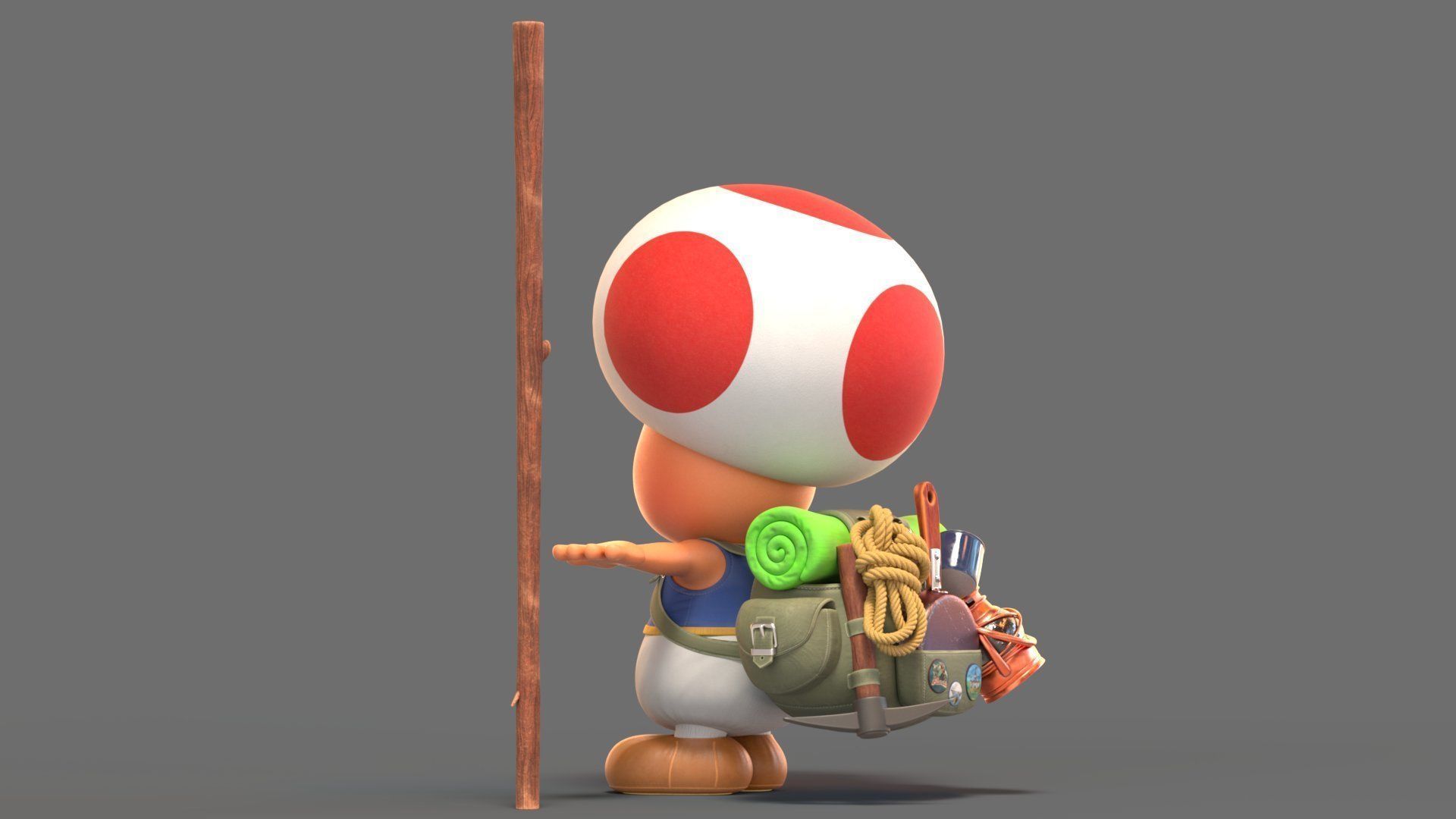 Toad Rig From The Super Mario Bros Movie 3D model_7