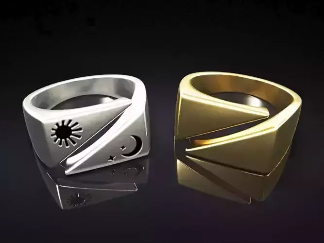 Dual Ring 3D print model